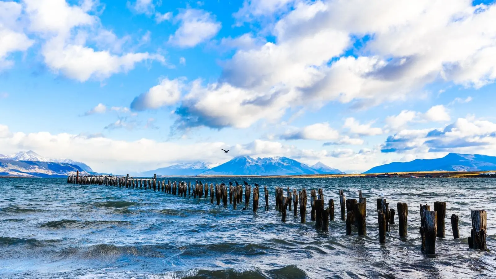 Vista panorámica de Puerto Natales, puerta de entrada a la Patagonia